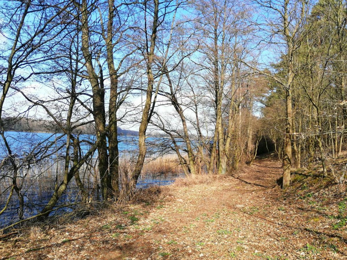 Domki Nad Jeziorem Dąbrówno Kültér fotó