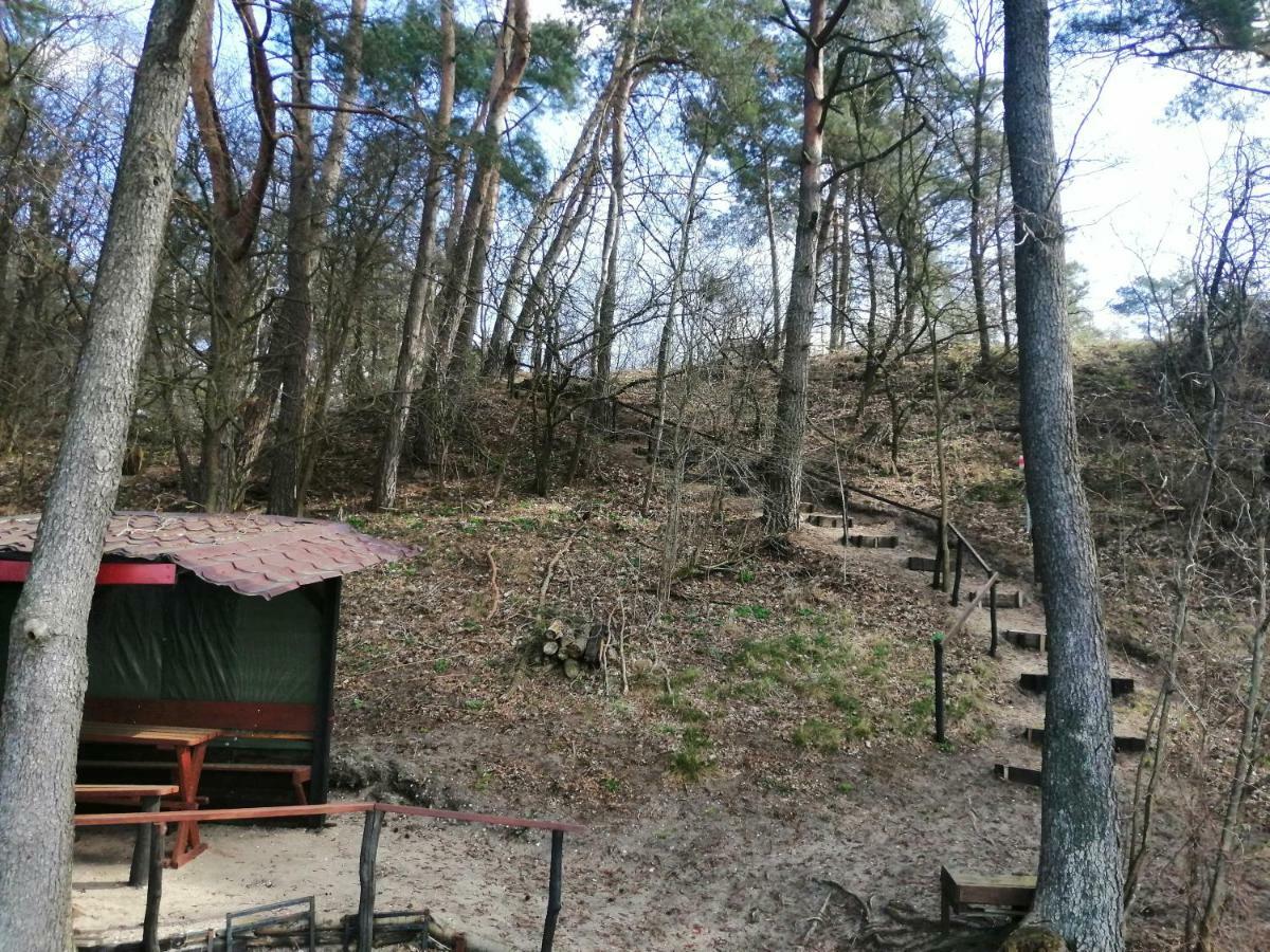 Domki Nad Jeziorem Dąbrówno Kültér fotó
